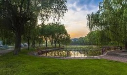 鹿泉海山公园爆料新闻,揭秘背后真相